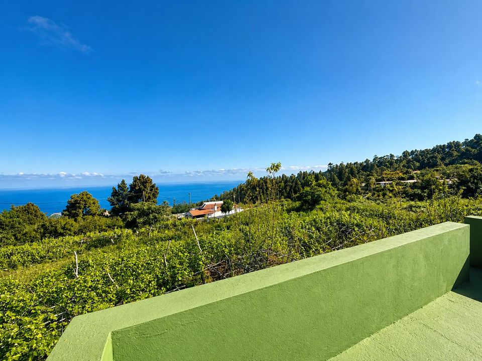 Finca i La Florida, Tenerife - foto 3